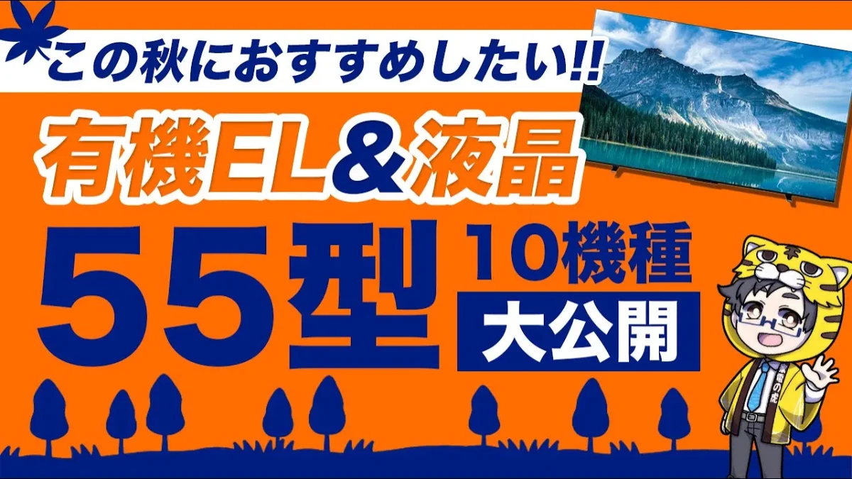 液晶・有機ELテレビ｜2025の大人気55型おすすめ10選｜今お得なモデルを紹介